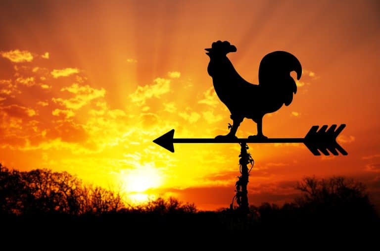 Rooster weather vane against a sunrise, representing a 5am morning routine.
